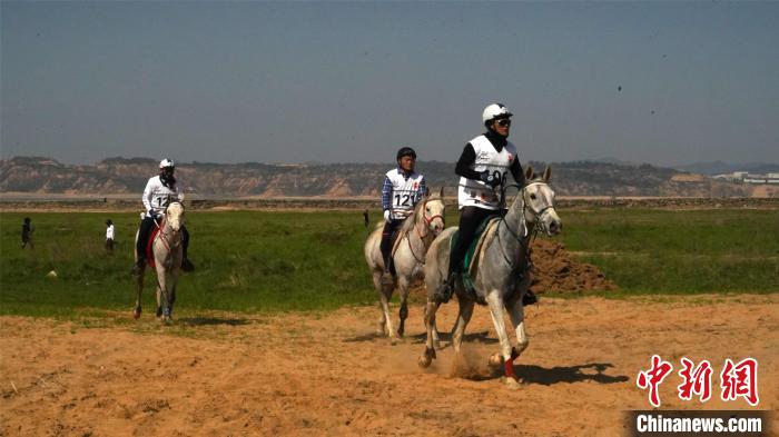 国际骑手齐聚鄱阳湖 都昌举办2024马术耐力赛